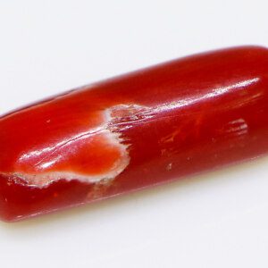 Pure red coral gem, exceptional clarity