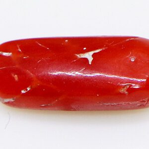 Red coral gem (Scorpio birthstone), exceptional clarity.