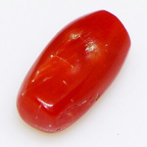 Fiery red Italian red coral gem, close-up view