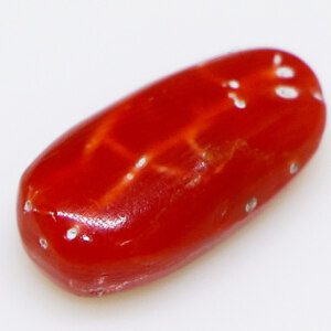 Close-up of a sparkling real Moonga stone (red coral) loose stone on a white background.