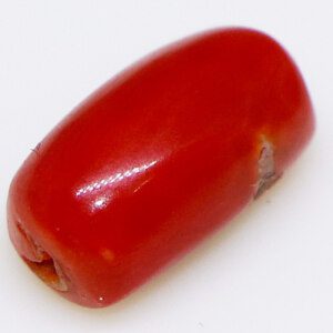 Red coral loose stone closeup (6 carat).