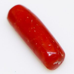 Fiery red Red Coral loose gemstone closeup