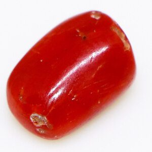 Fiery red, Coral Munga loose gemstone closeup.