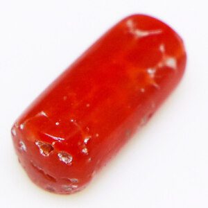 Munga coral with a smooth, polished surface (Polished munga gemstone, loose stone)
