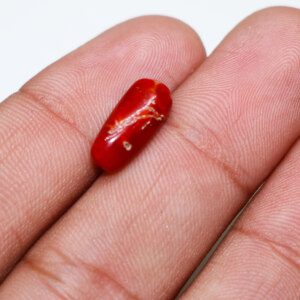Red coral loose gemstone in hand, perfect for jewelry making.