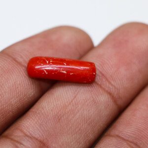 Red coral cabochon in hand, perfect for statement jewelry designs.