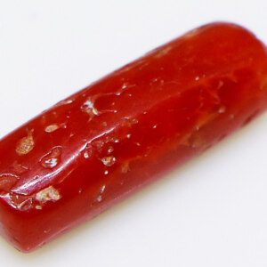 Red coral loose gemstone against a contrasting background, allowing its vibrant color to stand out