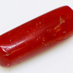 Genuine Red Coral Original Gemstone Close-up