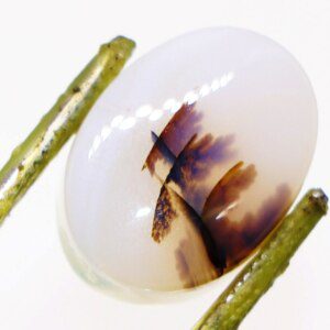 Moss Agate gemstone displayed Close up