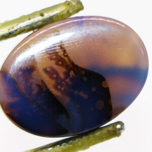 Clear Moss Agate loose stone closeup