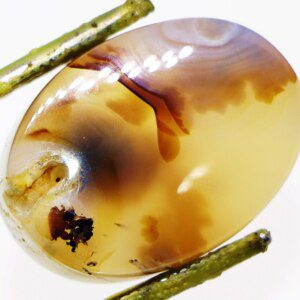 Moss Agate cabochon closeup