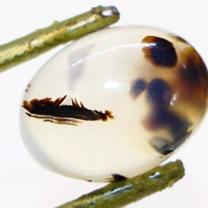 Moss Agate loose stone closeup