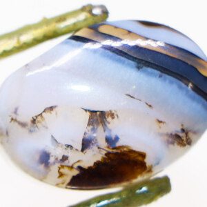 Scenic Moss Agate closeup