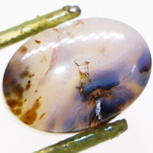 Brown Moss Agate loose stone closeup