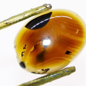 Indonesian Moss Agate loose stone closeup