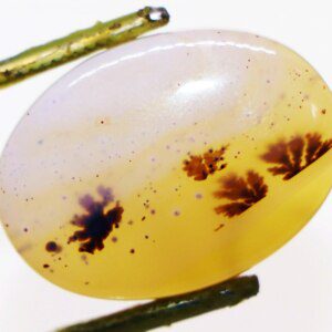 Polished Moss Agate loose gemstone with high shine