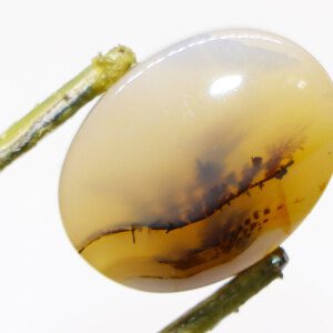 Crystal Moss Agate loose stone with moss-like inclusions