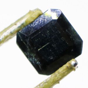 Close-up of a Neelam Pathar (Blue Sapphire) loose gemstone held in tweezers, showcasing its vibrant color and clarity.