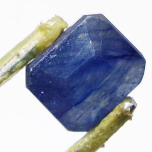 Nilmani gemstone with tweezers