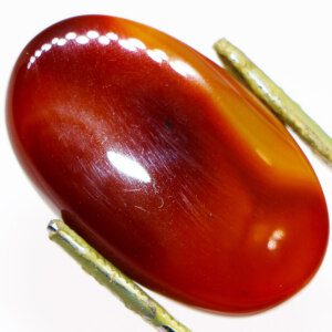 Closeup photo of a Dark Brown Agate loose gemstone held in tweezers, showcasing its deep brown color.