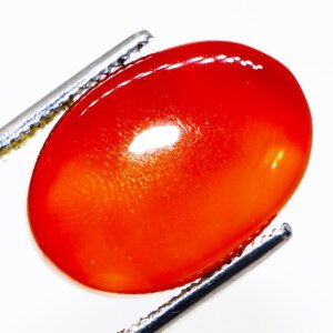 Closeup photo of a Fire Agate cabochon held in tweezers, showcasing its fiery orange, red, and yellow hues.