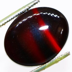 Closeup photo of a Black Striped Agate loose gemstone held in tweezers, showcasing its contrasting black and white bands.