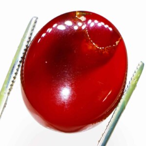 Bloodstone Agate in Tweezer