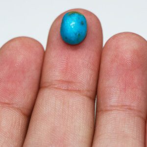 Turquoise Feroza Gemstones 551