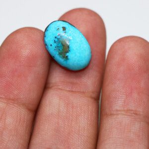 Turquoise Feroza Stones 566